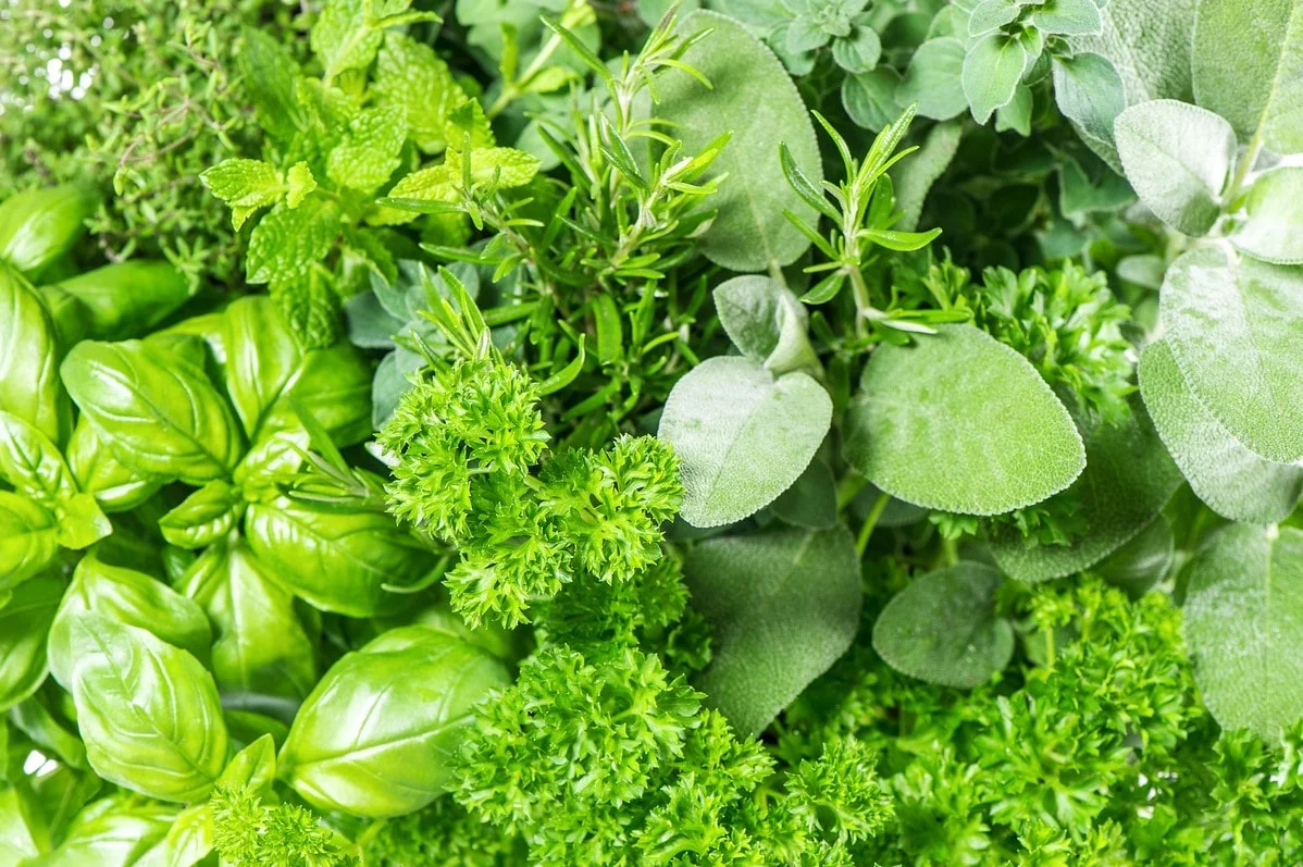 aromatiques