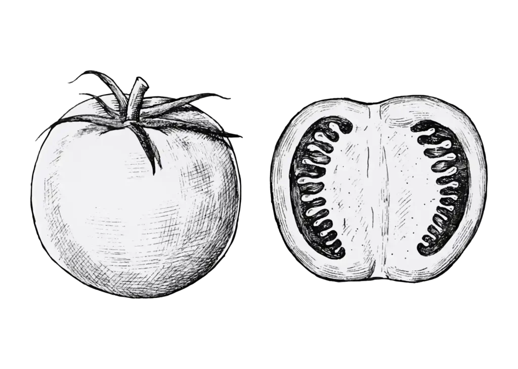 tomates